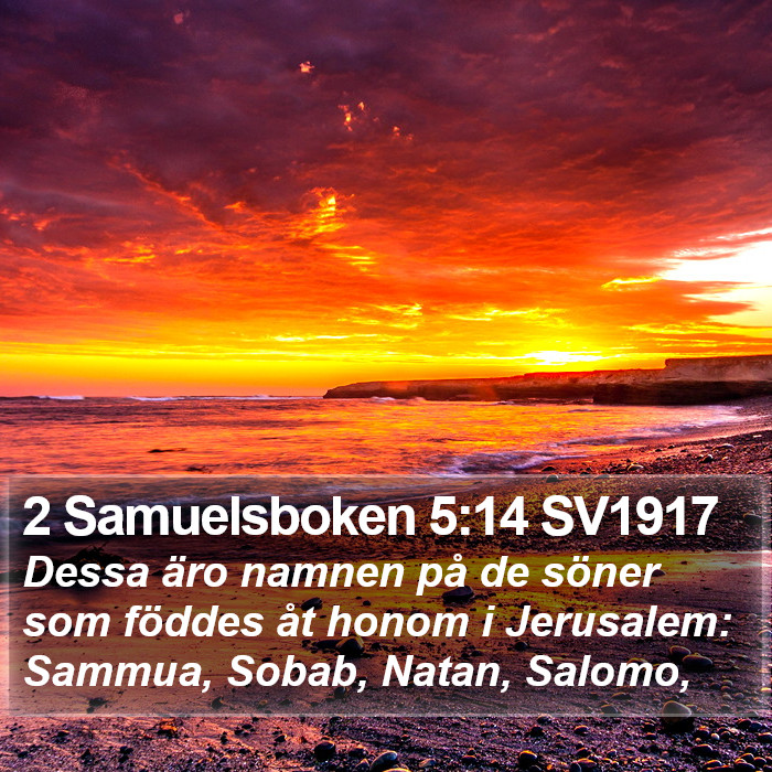 2 Samuelsboken 5:14 SV1917 Bible Study