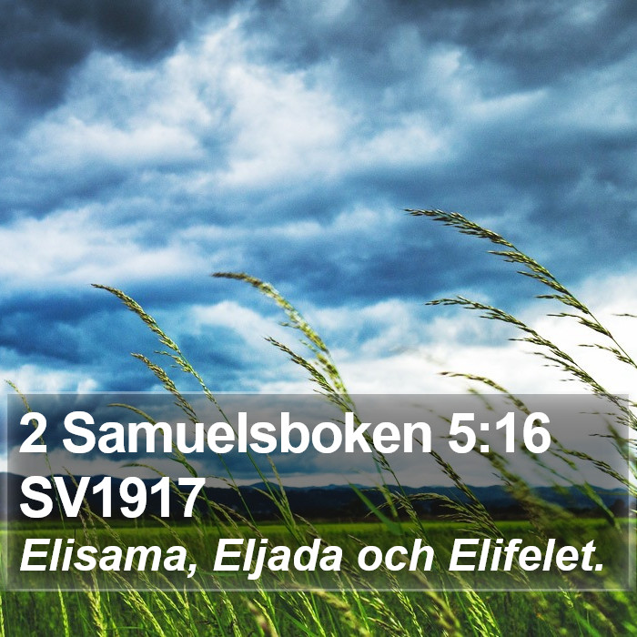 2 Samuelsboken 5:16 SV1917 Bible Study