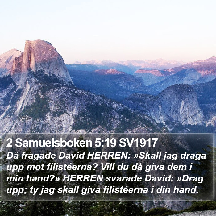 2 Samuelsboken 5:19 SV1917 Bible Study