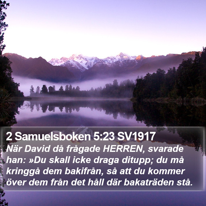 2 Samuelsboken 5:23 SV1917 Bible Study