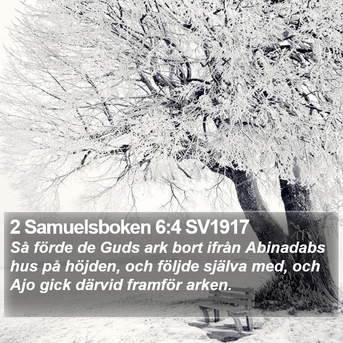 2 Samuelsboken 6:4 SV1917 Bible Study