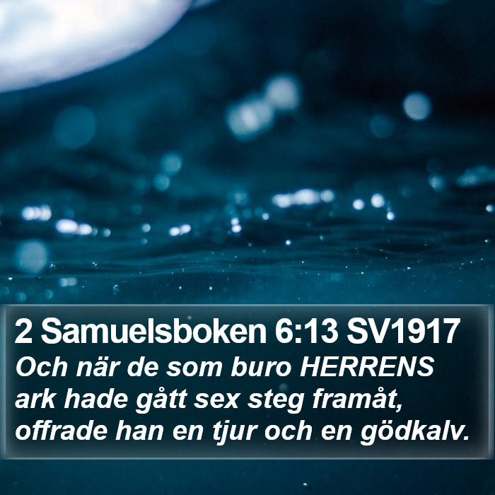 2 Samuelsboken 6:13 SV1917 Bible Study