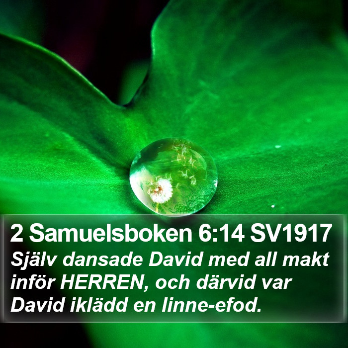 2 Samuelsboken 6:14 SV1917 Bible Study