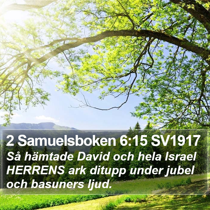 2 Samuelsboken 6:15 SV1917 Bible Study