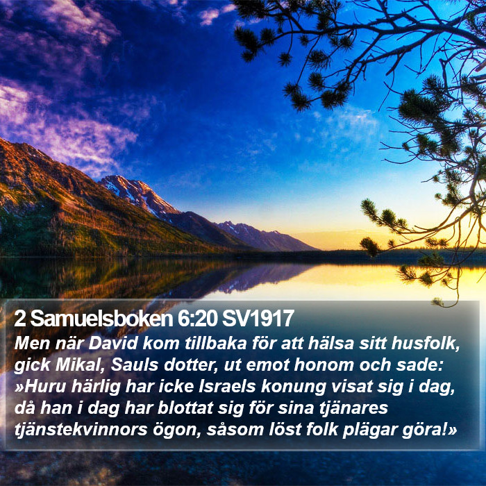 2 Samuelsboken 6:20 SV1917 Bible Study