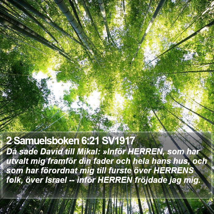 2 Samuelsboken 6:21 SV1917 Bible Study