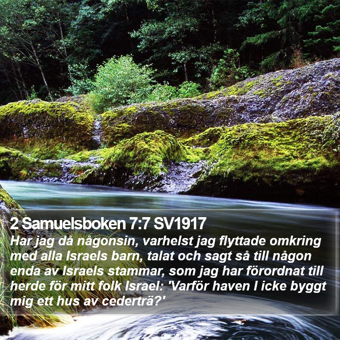 2 Samuelsboken 7:7 SV1917 Bible Study