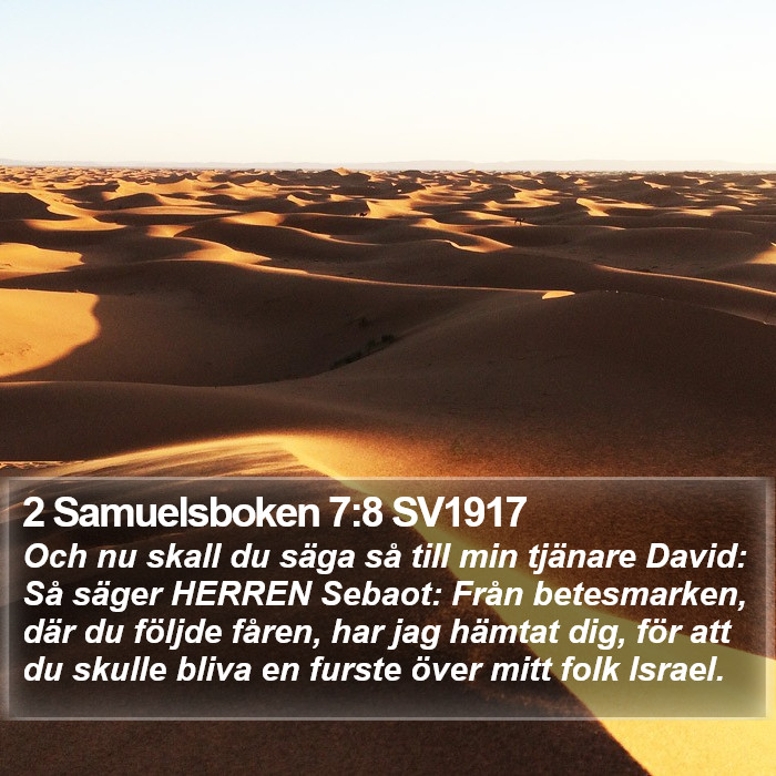 2 Samuelsboken 7:8 SV1917 Bible Study