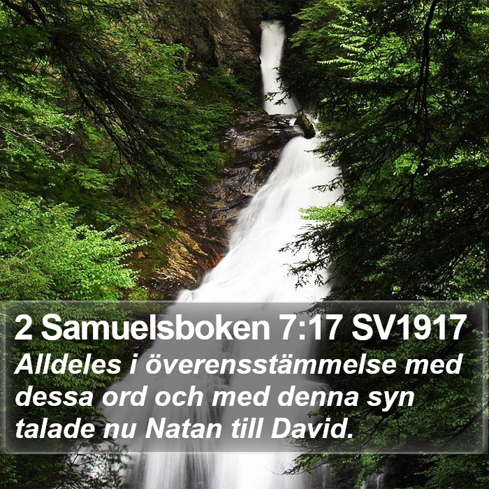 2 Samuelsboken 7:17 SV1917 Bible Study