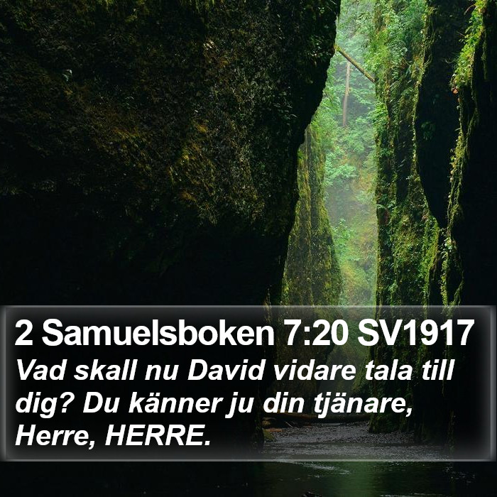 2 Samuelsboken 7:20 SV1917 Bible Study