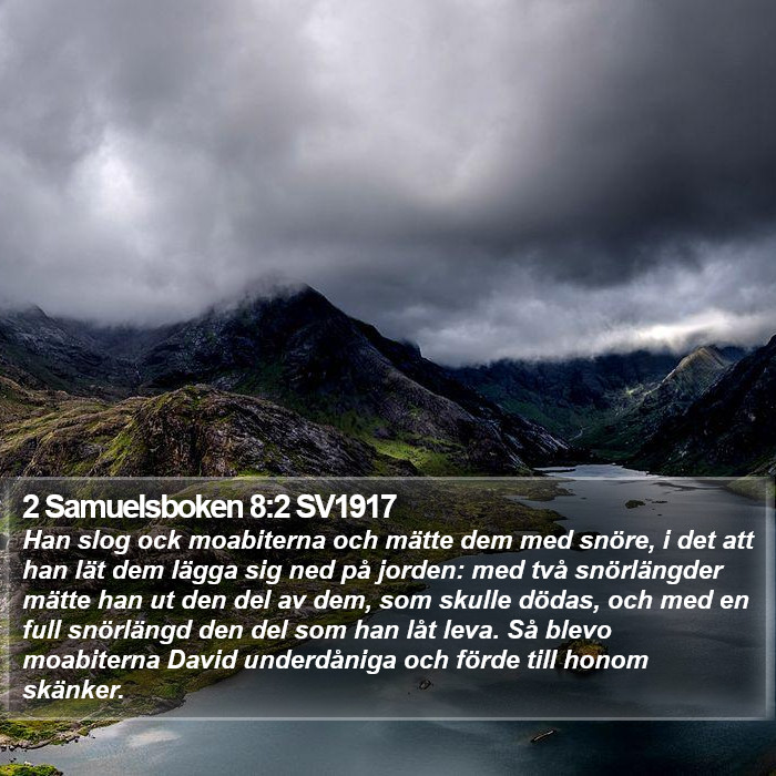 2 Samuelsboken 8:2 SV1917 Bible Study