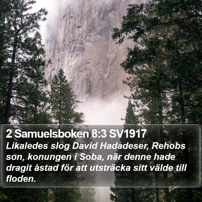 2 Samuelsboken 8:3 SV1917 Bible Study