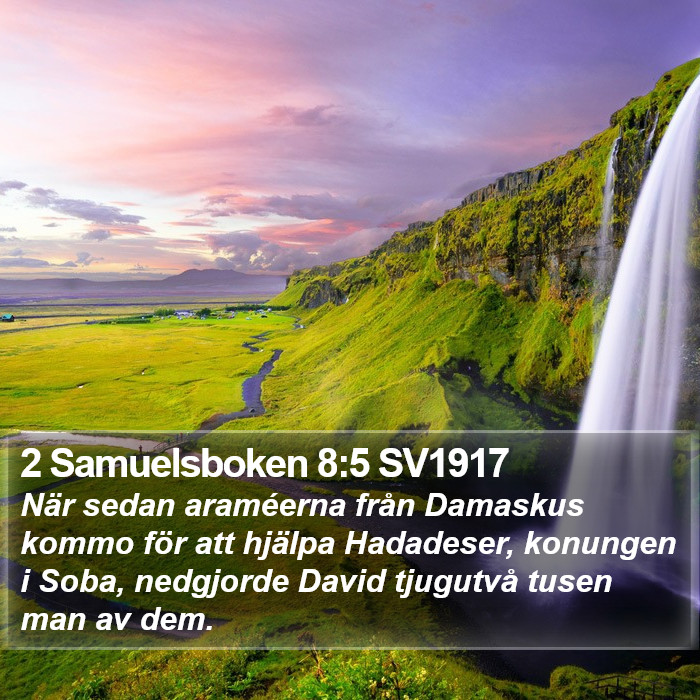 2 Samuelsboken 8:5 SV1917 Bible Study