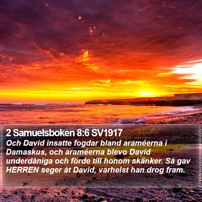2 Samuelsboken 8:6 SV1917 Bible Study