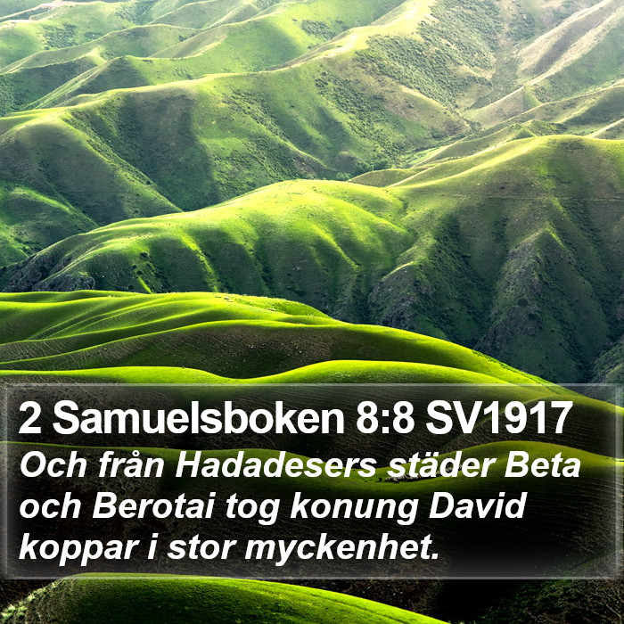 2 Samuelsboken 8:8 SV1917 Bible Study