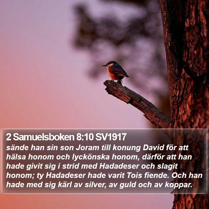 2 Samuelsboken 8:10 SV1917 Bible Study