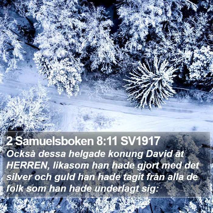 2 Samuelsboken 8:11 SV1917 Bible Study