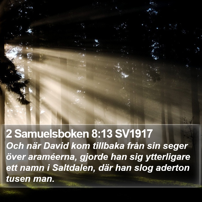 2 Samuelsboken 8:13 SV1917 Bible Study