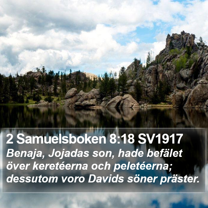 2 Samuelsboken 8:18 SV1917 Bible Study