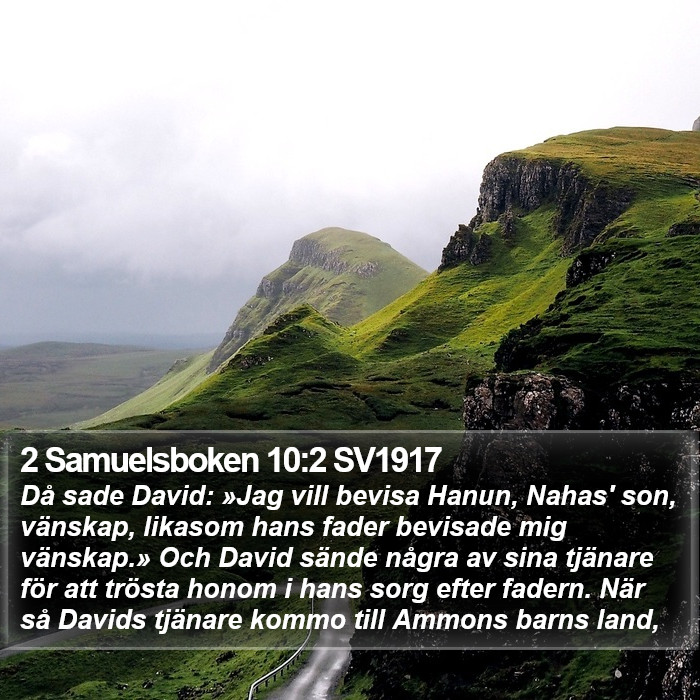 2 Samuelsboken 10:2 SV1917 Bible Study