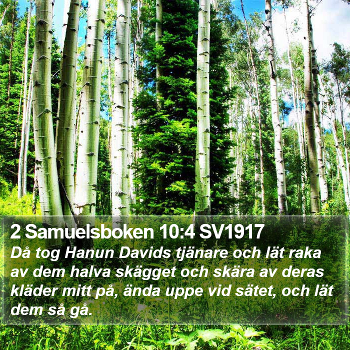 2 Samuelsboken 10:4 SV1917 Bible Study