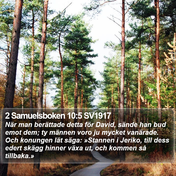 2 Samuelsboken 10:5 SV1917 Bible Study
