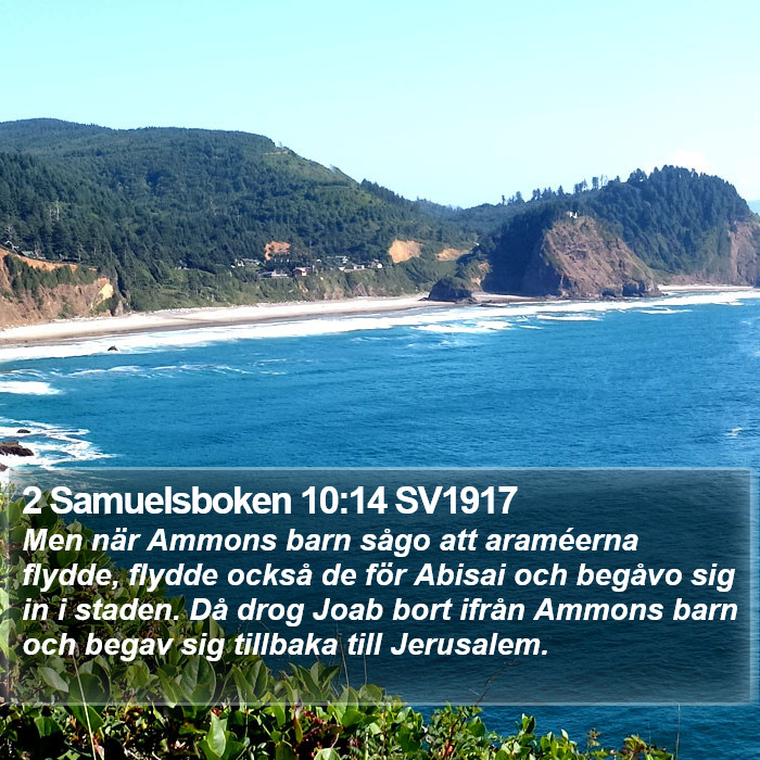 2 Samuelsboken 10:14 SV1917 Bible Study