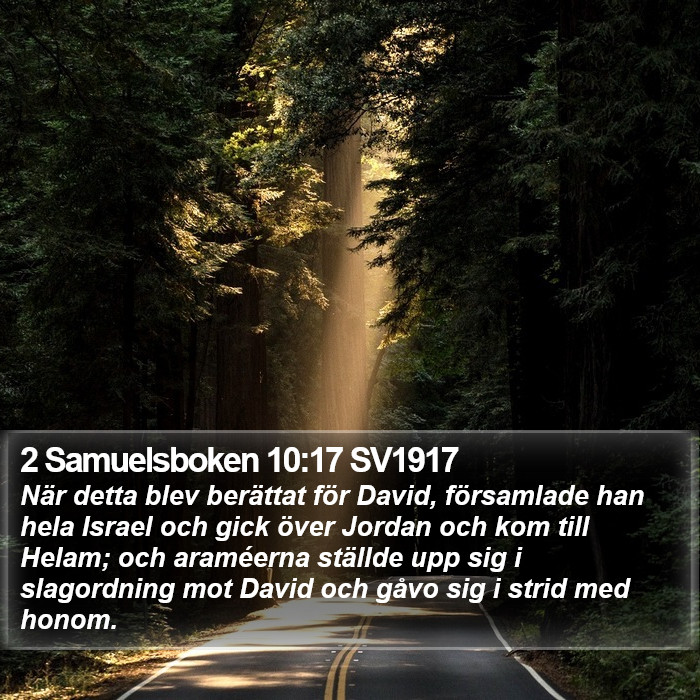 2 Samuelsboken 10:17 SV1917 Bible Study