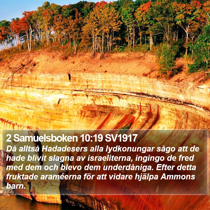 2 Samuelsboken 10:19 SV1917 Bible Study