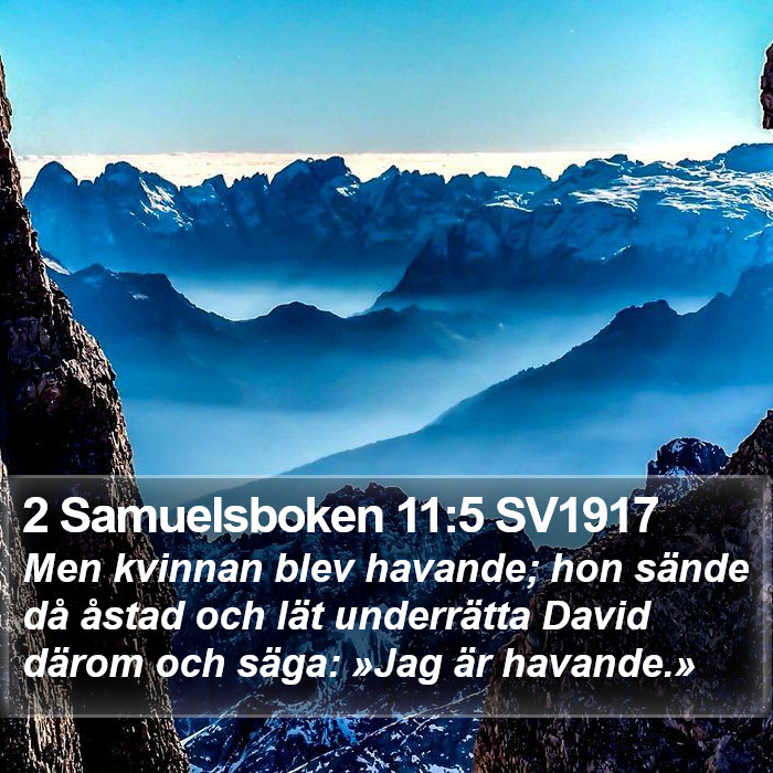 2 Samuelsboken 11:5 SV1917 Bible Study