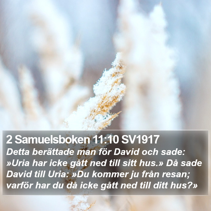 2 Samuelsboken 11:10 SV1917 Bible Study