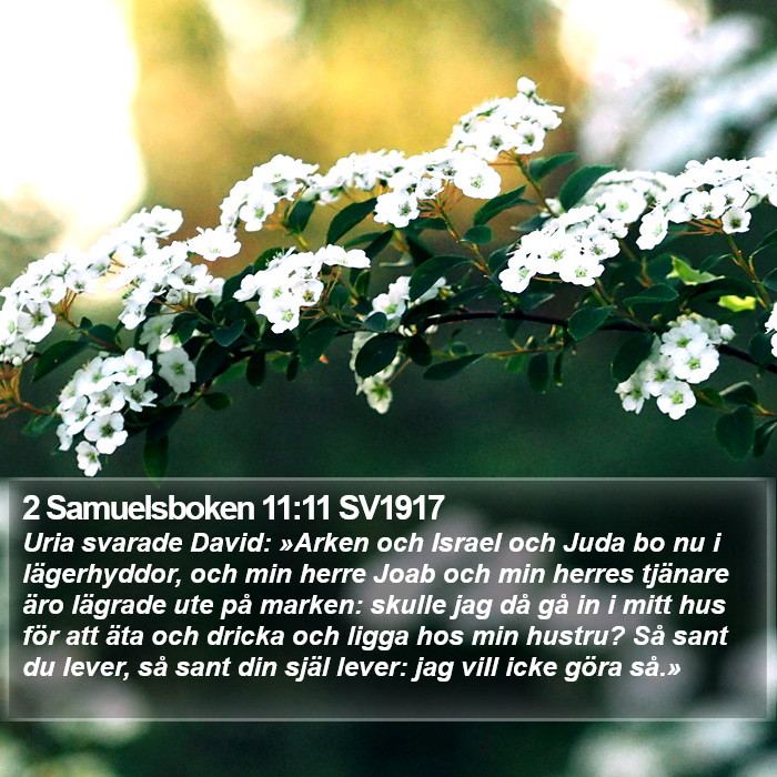 2 Samuelsboken 11:11 SV1917 Bible Study