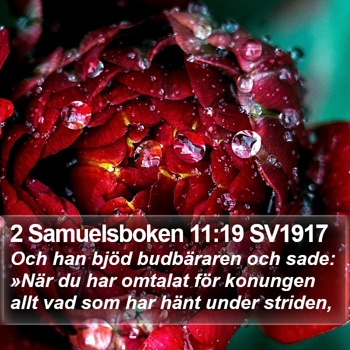 2 Samuelsboken 11:19 SV1917 Bible Study