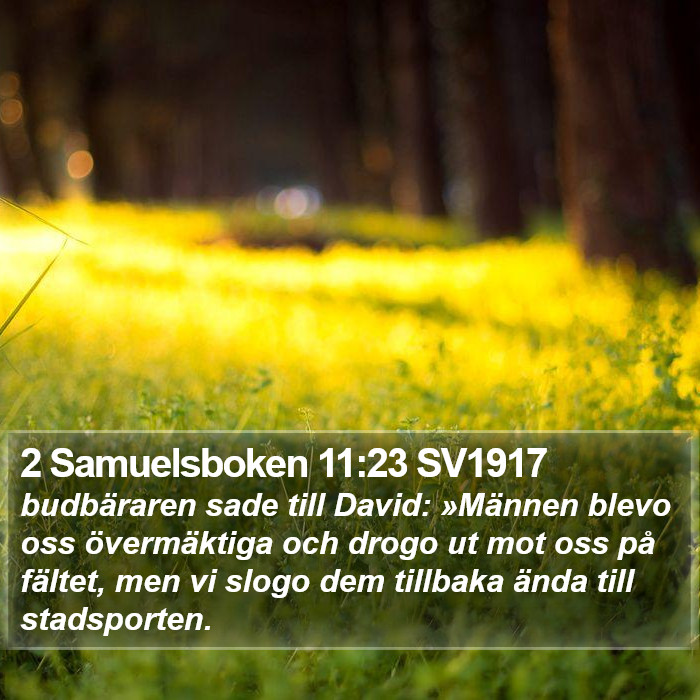 2 Samuelsboken 11:23 SV1917 Bible Study