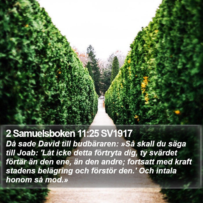 2 Samuelsboken 11:25 SV1917 Bible Study