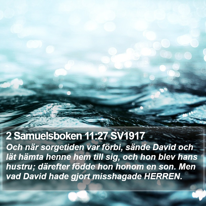 2 Samuelsboken 11:27 SV1917 Bible Study