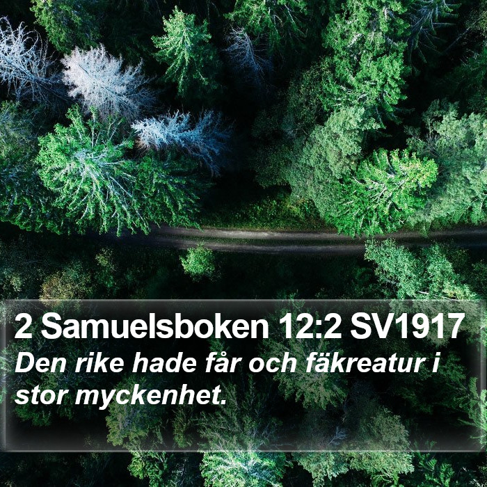 2 Samuelsboken 12:2 SV1917 Bible Study