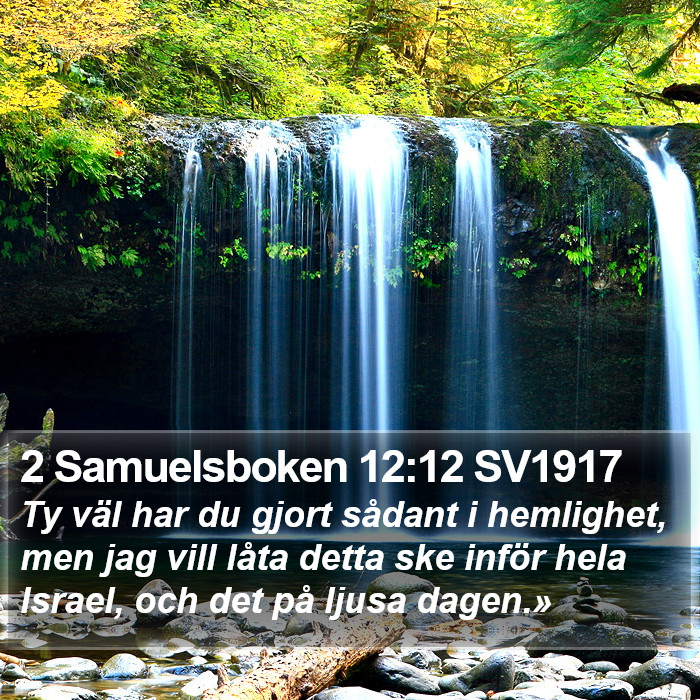 2 Samuelsboken 12:12 SV1917 Bible Study