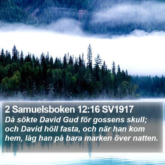 2 Samuelsboken 12:16 SV1917 Bible Study