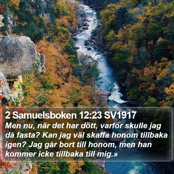 2 Samuelsboken 12:23 SV1917 Bible Study