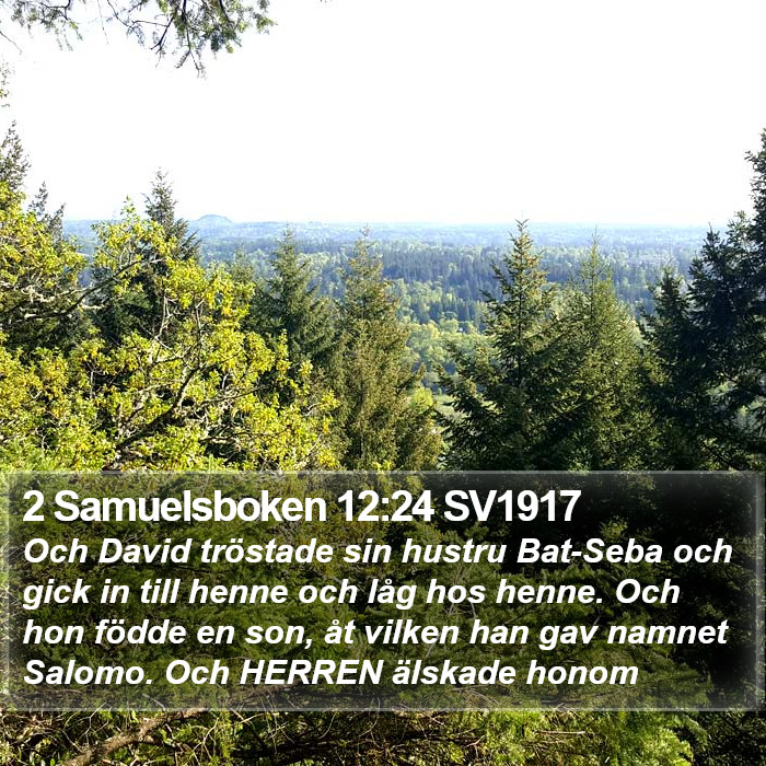 2 Samuelsboken 12:24 SV1917 Bible Study