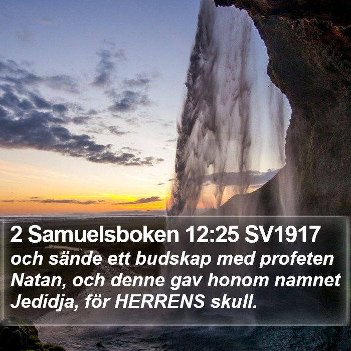 2 Samuelsboken 12:25 SV1917 Bible Study