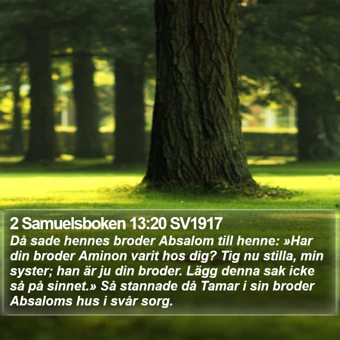 2 Samuelsboken 13:20 SV1917 Bible Study