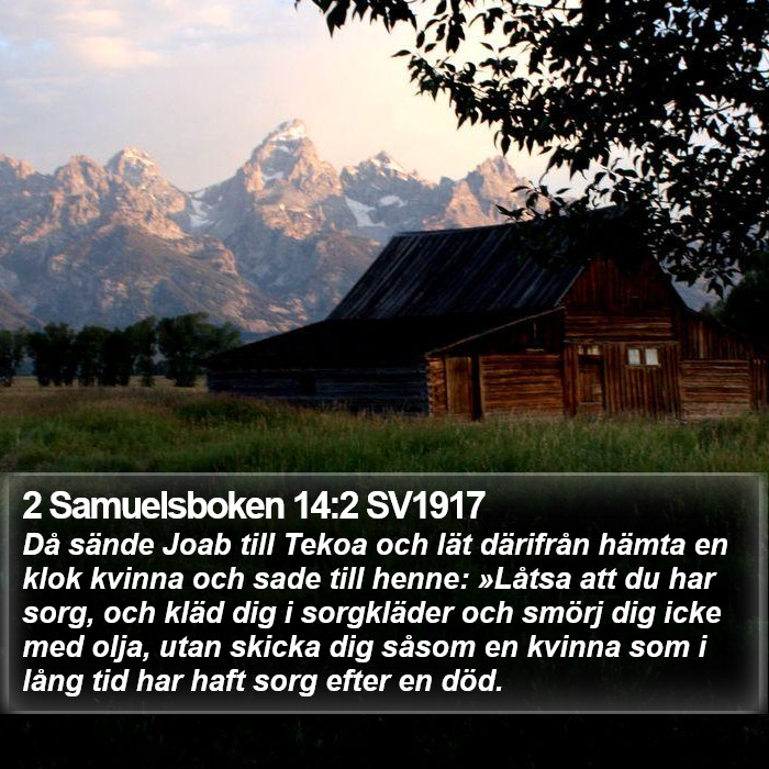 2 Samuelsboken 14:2 SV1917 Bible Study