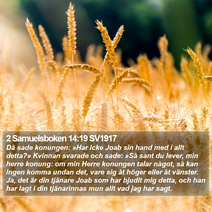 2 Samuelsboken 14:19 SV1917 Bible Study