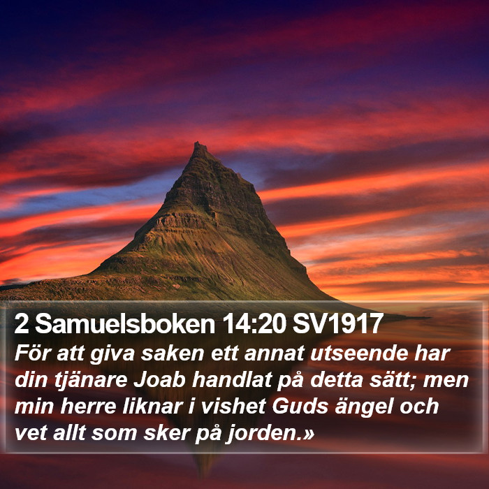 2 Samuelsboken 14:20 SV1917 Bible Study