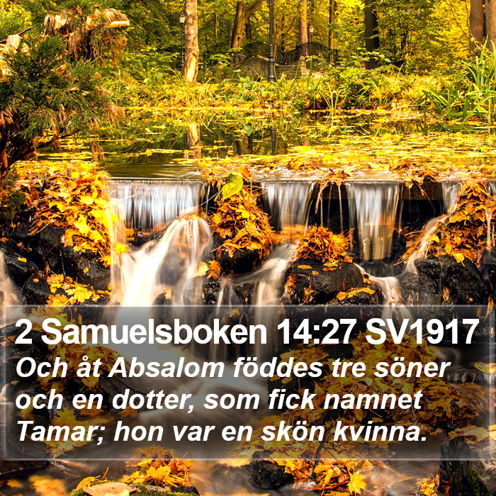 2 Samuelsboken 14:27 SV1917 Bible Study