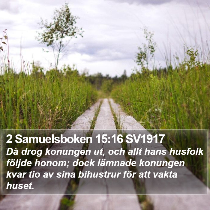 2 Samuelsboken 15:16 SV1917 Bible Study