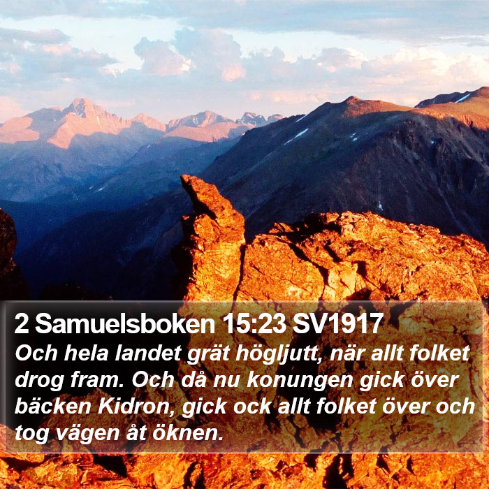 2 Samuelsboken 15:23 SV1917 Bible Study