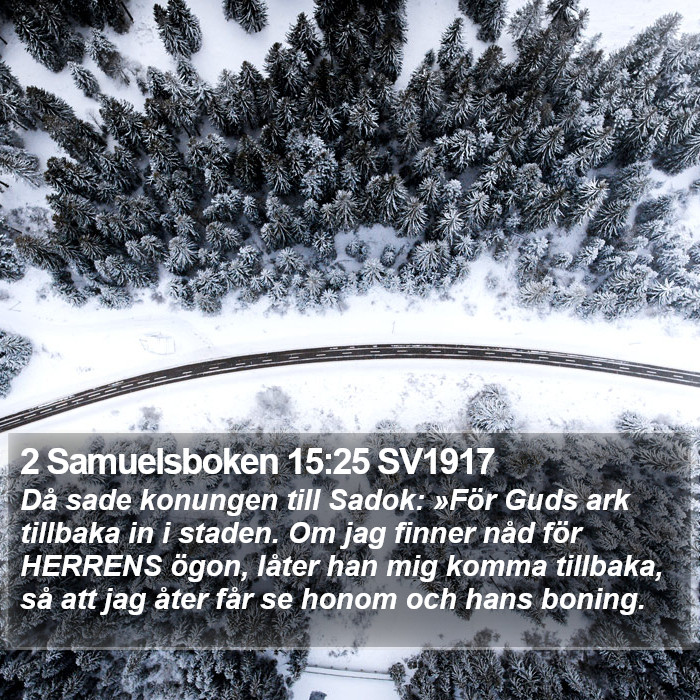 2 Samuelsboken 15:25 SV1917 Bible Study